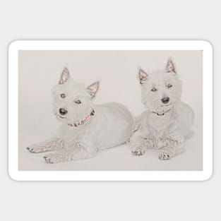 West Highland Terrier (3) Sticker